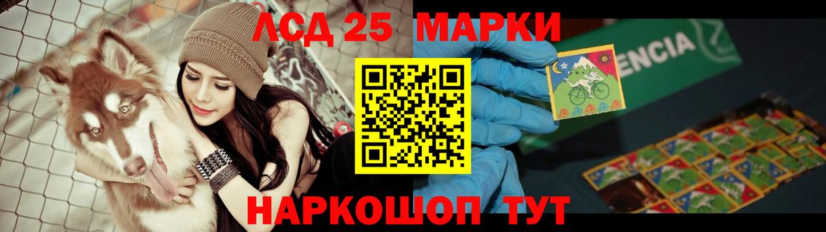 Галлюциногенные грибы Заводоуковск