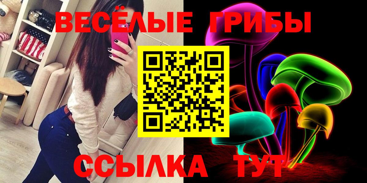 где купить наркоту  Вход с VPN  Заводоуковск  Псилоцибиновые грибы Cubensis  Галлюциногенные грибы мухоморы 