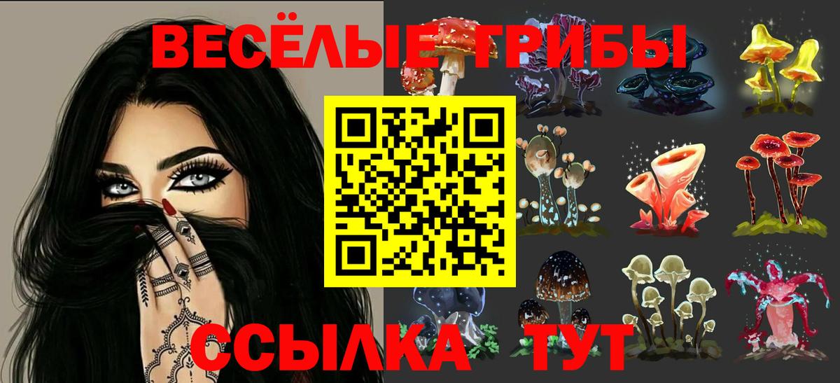 Галлюциногенные грибы GOLDEN TEACHER Заводоуковск